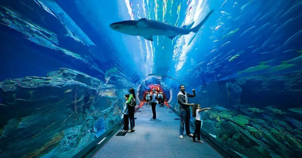 Dubai's Astonishing Instagrammable Spots: Don’t Miss Out Dubai-Aquarium