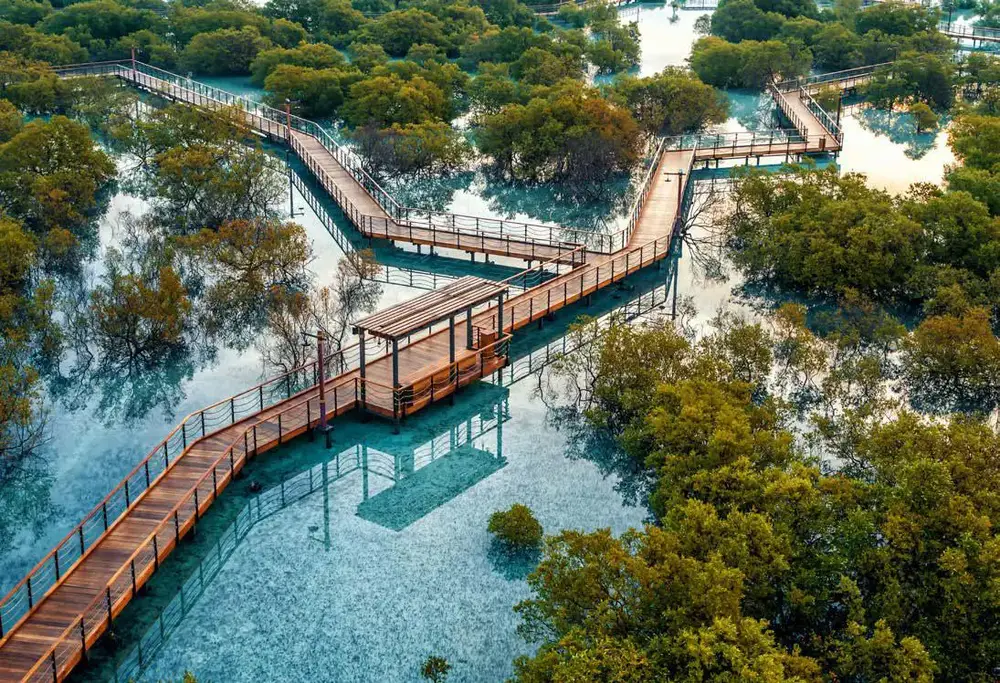 Jubail Mangrove Park, Abu Dhabi